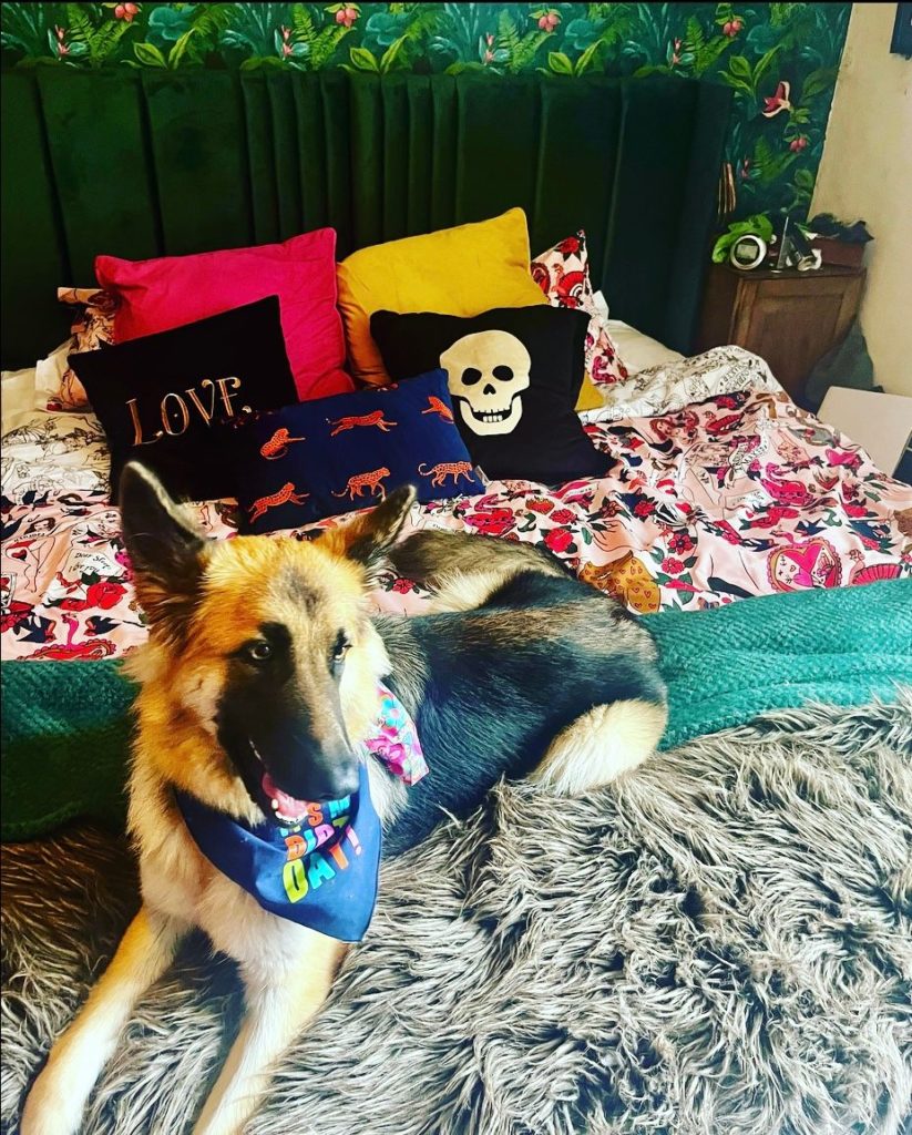 Image #1 from Hazel P.